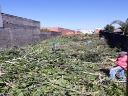 #58 - Área para Venda em São Paulo - SP - 2