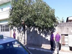 Área para Venda em São Paulo - 4