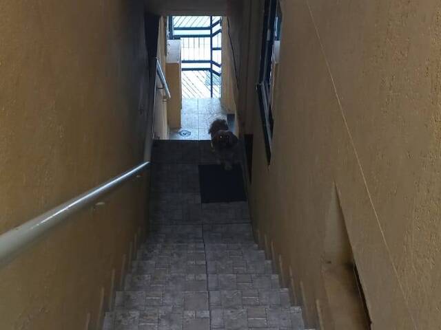 Casa para Venda em São Paulo - 2