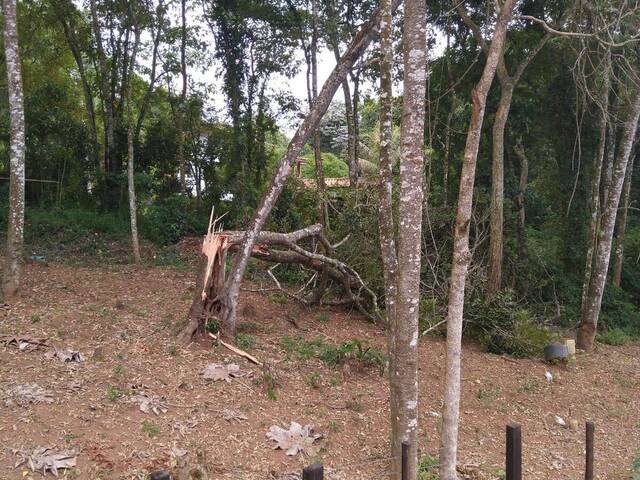 Sítio para Venda em Piracaia - 4