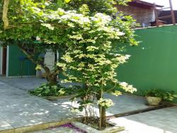 Casa para Venda em São Paulo - 5
