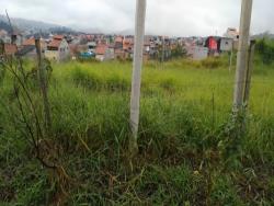 #31 - Terreno para Venda em São Paulo - SP - 3